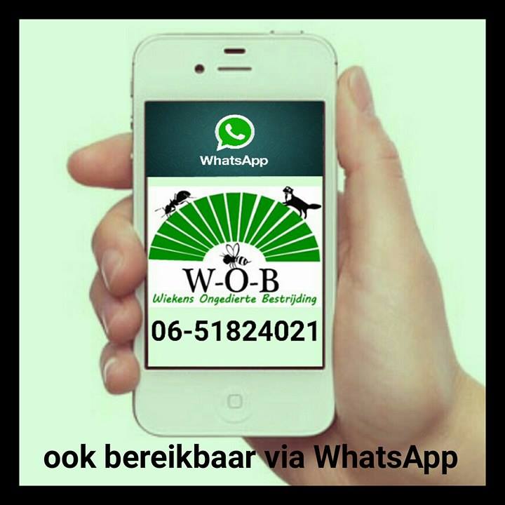 Whatsapp ongediertebestrijding